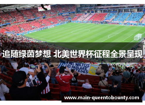 追随绿茵梦想 北美世界杯征程全景呈现 追随绿茵梦想 北美世界杯征程全景呈现