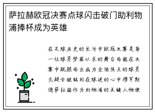 萨拉赫欧冠决赛点球闪击破门助利物浦捧杯成为英雄 萨拉赫欧冠决赛点球闪击破门助利物浦捧杯成为英雄